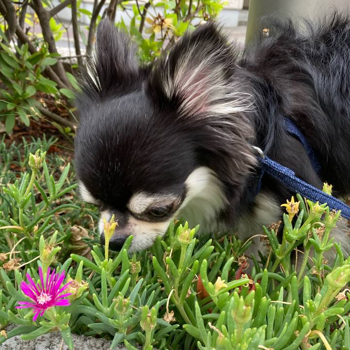 Ba806b22 1569 4b40 a91b d5956ee7761c 1657438982471