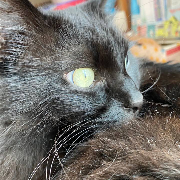 Ba807166 0055 442b a698 7398d417b027 1585719748026