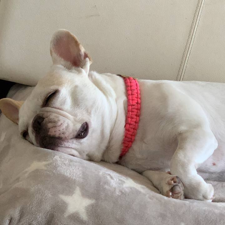 Ba809f5d 70cb 458e 81cc 803b097b4756 1566282129073