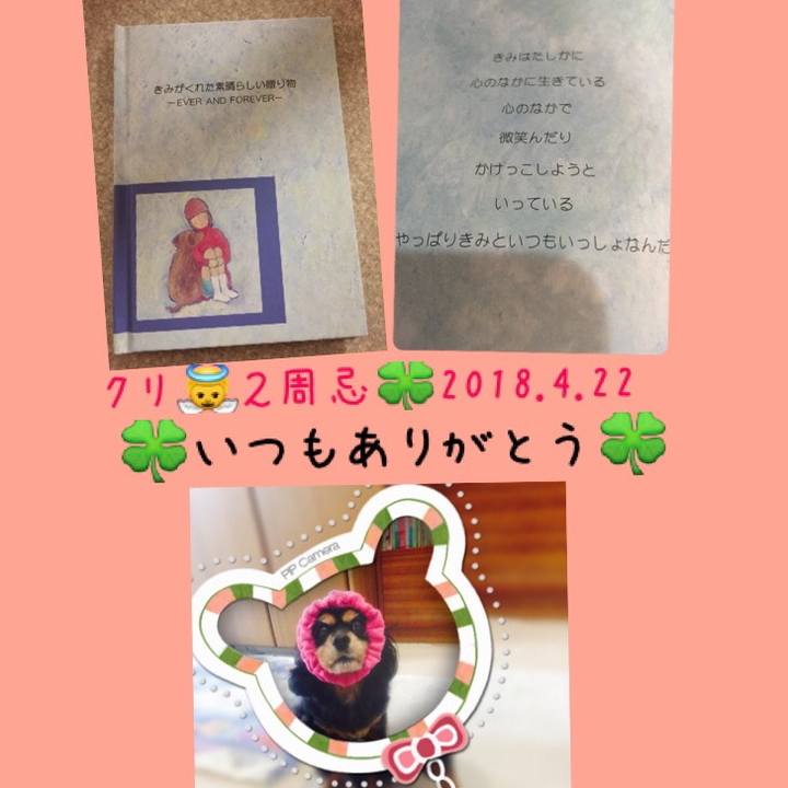 Ba8116a6 f8bb 4ef0 b2aa dbcbbc540eb1 1524322967375