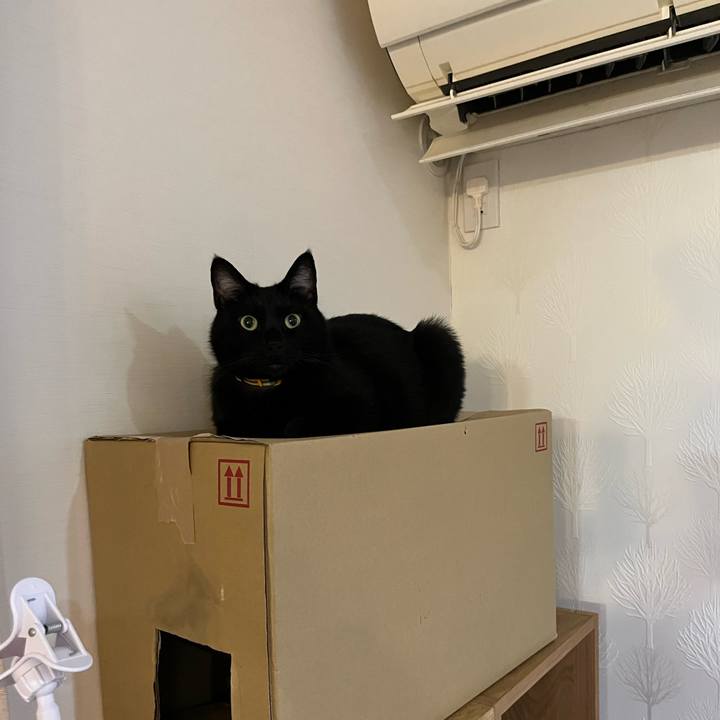 Ba811d34 7381 48d2 8443 43fa747af0b7 1671110420544