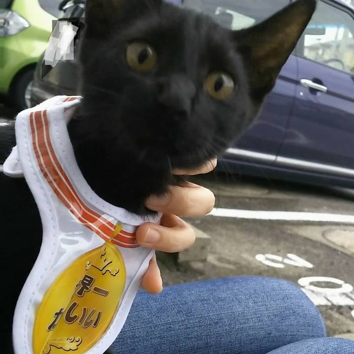 Ba813c12 fc0a 482c 8469 053d90c89ce9 1536743802738