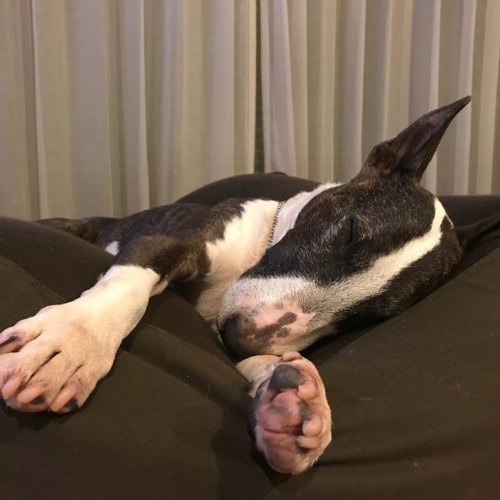 Ba814364 d188 4a8c abe7 65253e4e7dc0 1525619376544