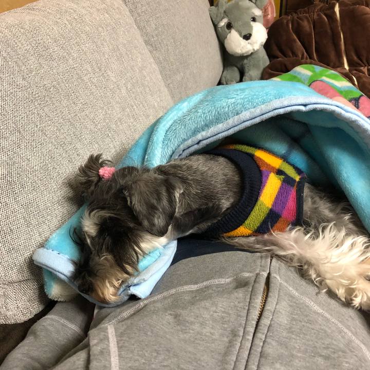 Ba817924 bfd8 4f9f be7f 2a57ecf1eb48 1573824037627