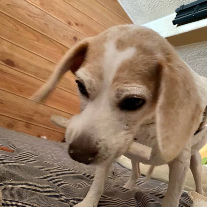 Ba81abaa 9fe5 403f 8651 835d0de8d52a 1610492698794