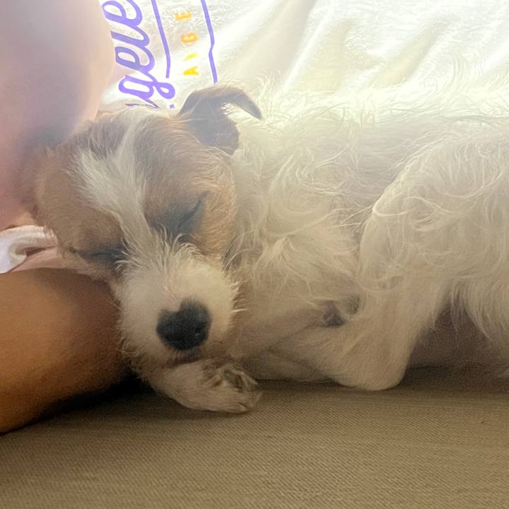 Ba823aca a196 4c11 920d 9ed4b5f58204 1758461202443