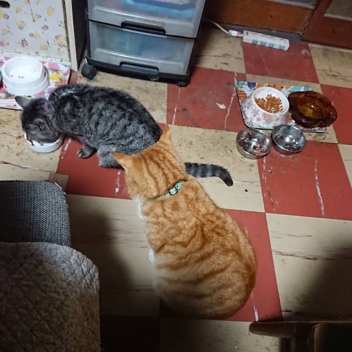 Ba823b38 bf83 4863 8541 3432535554f2 1582880294155