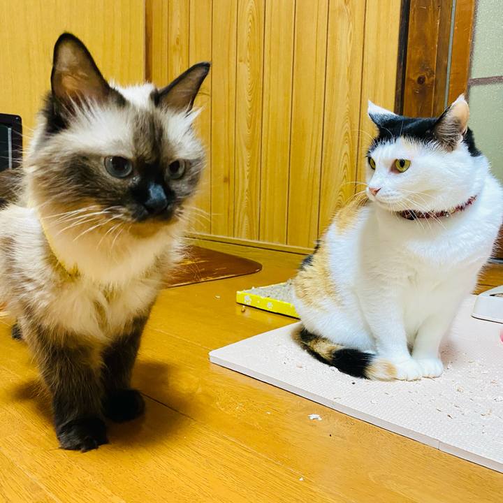 Ba827156 99ee 43a7 b67e 297c12b5c61d 1694258604853