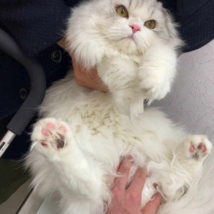 Ba82da4b 990e 4886 841b 7a6dba46dc6c 1609600616657