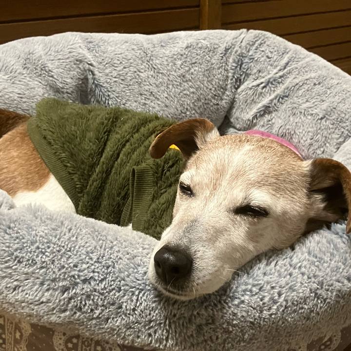 Ba82ff6e 20db 48f6 8eb4 69d47654c40c 1770769929317