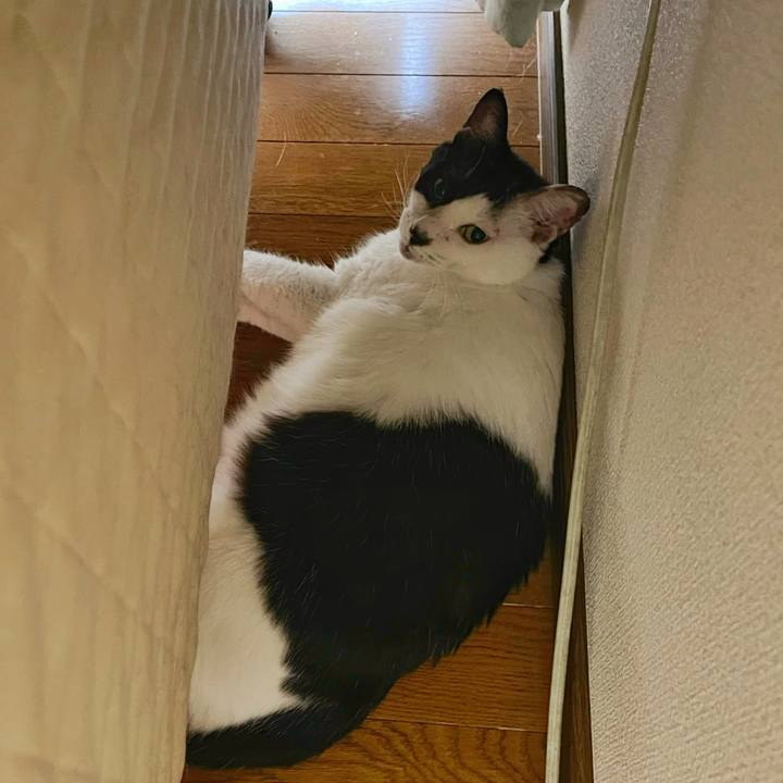 Ba834c2f bc02 4e92 a14f 841a32eea199 1756617600706