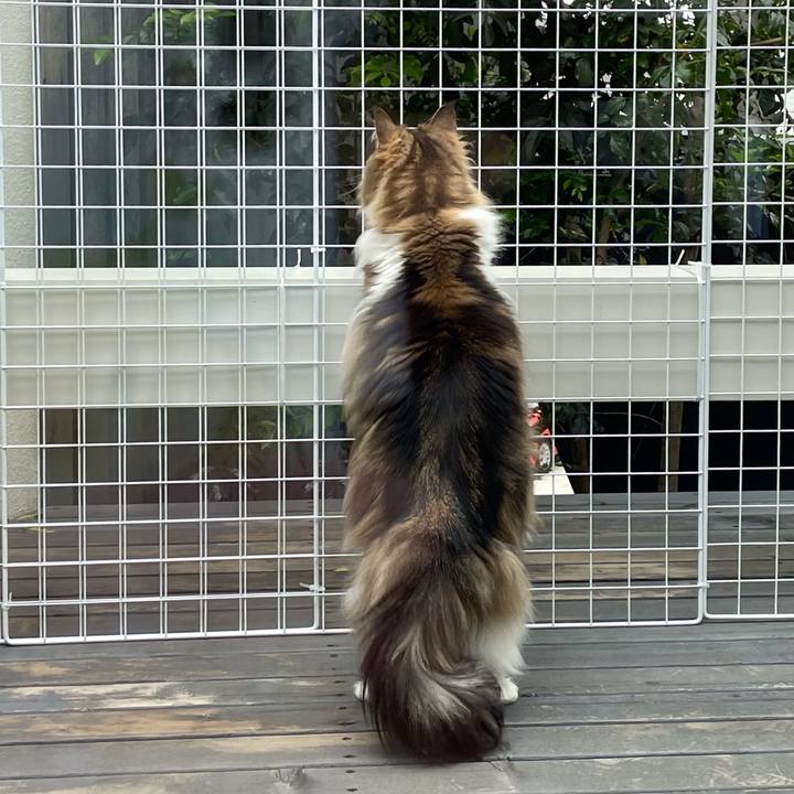 Ba83511f 8dae 4b32 a6f4 703ec7eb1680 1651209288512