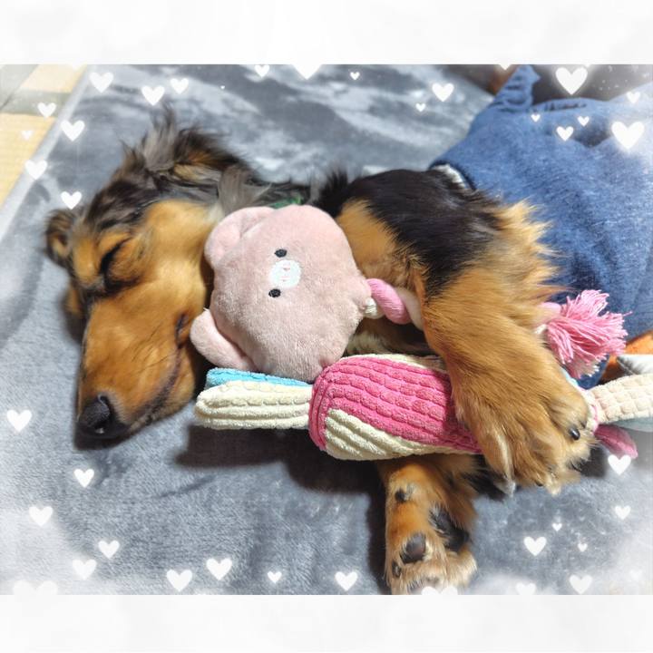 Ba842c12 50d9 43b1 adcc a425fbdc34b8 1734925635008