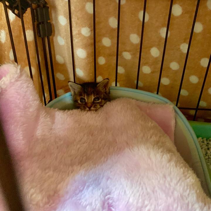 Ba8450ee 9887 44f5 b1ff 55bfd473af70 1556945672675