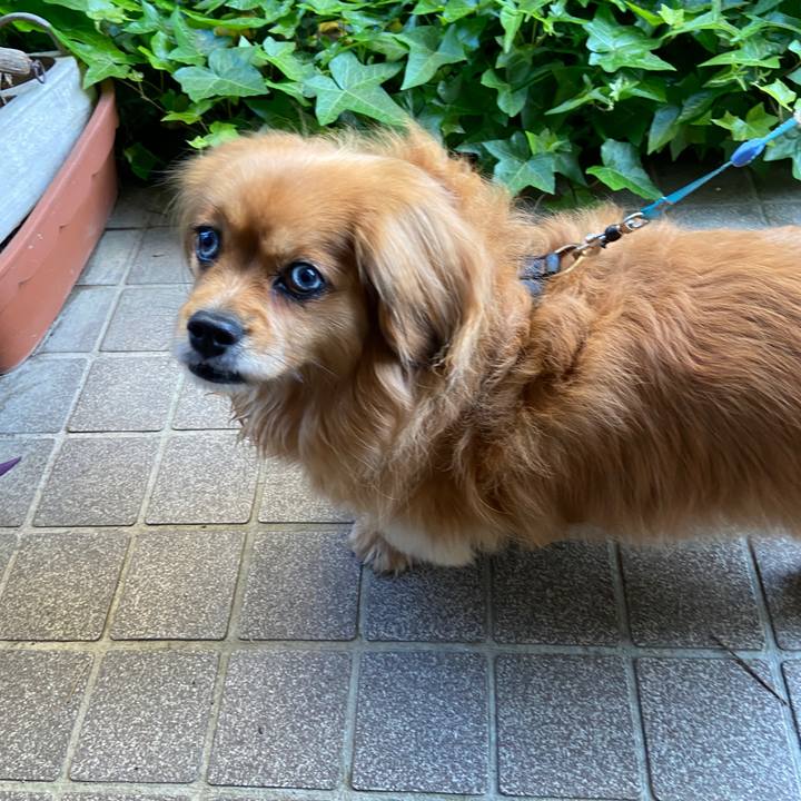 Ba847efd f4b8 4f82 9859 14efe45adc8f 1619734678330