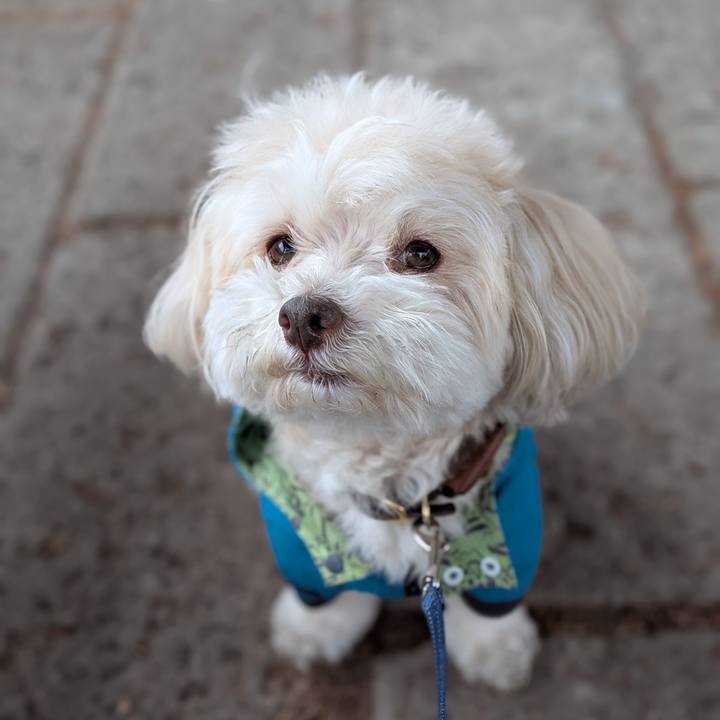 Ba84986a eac7 4a55 a3bb 244f965cb2c5 1773972295471