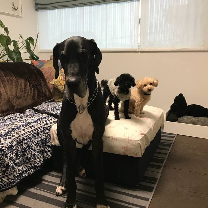 Ba84ab38 051a 4642 b354 9fbfacde8b57 1515452409138