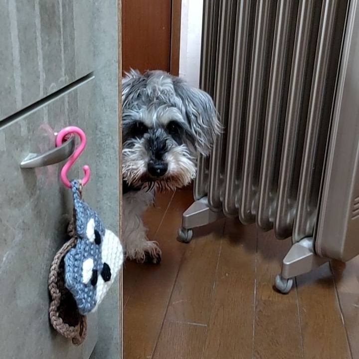 Ba84ca6b 3acb 4677 864d b37b8029a739 1710477973373