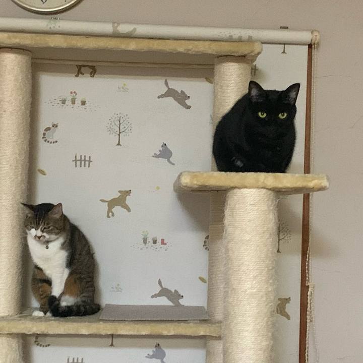 Ba84f47d a04e 41c0 bc0c b7c8c8e3a6ea 1641476462094