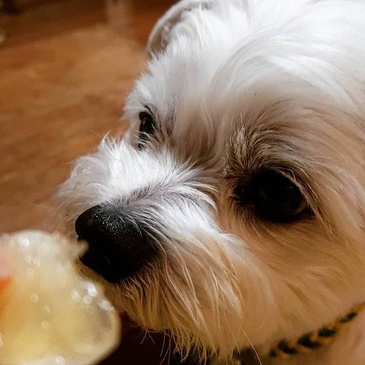 Ba851f2b cae0 49e8 8d66 2a883b43d3bf 1589371713300