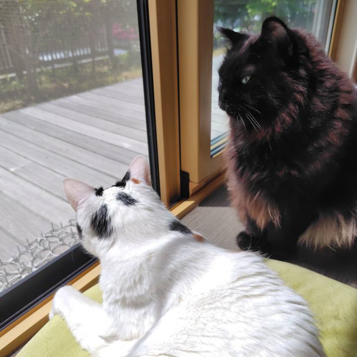 Ba8546eb ab60 4373 957d e03db0184332 1715737973087