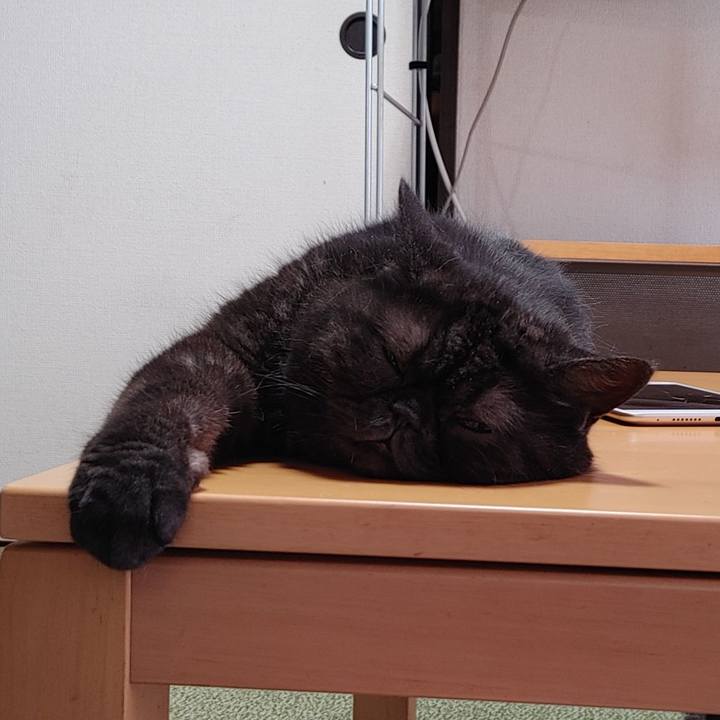 Ba856258 6971 4b7a 852c ce192f0433b4 1628314210185