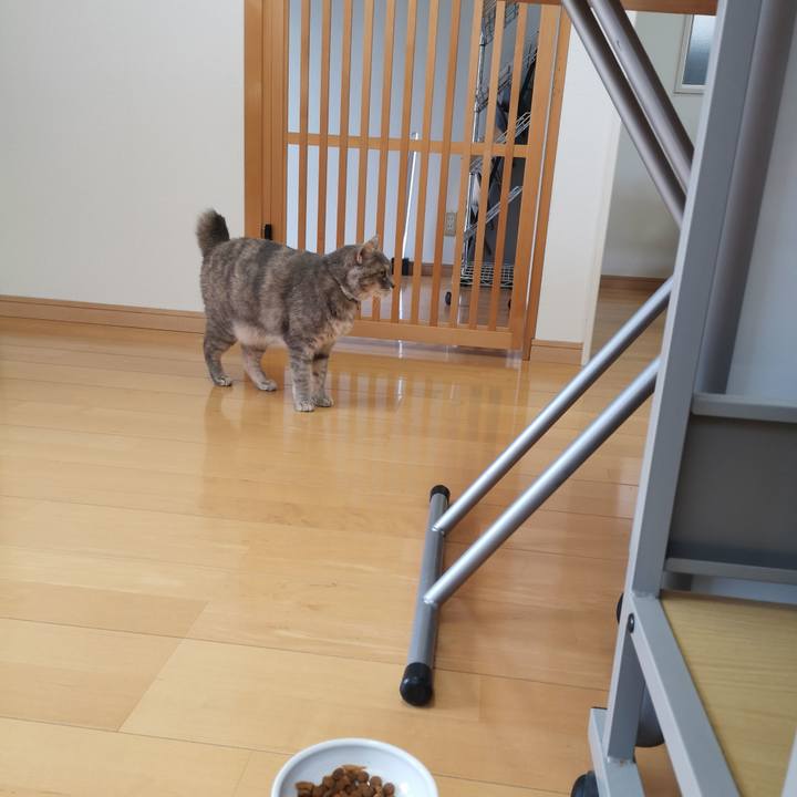 Ba8577af d7e1 4445 8b7b ab895869d53e 1591241409397