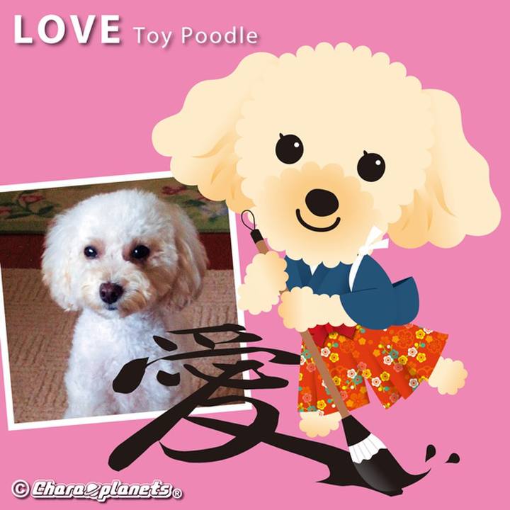 Ba85b80c 209b 4a57 96e4 8845d04c23fe 1565245038717