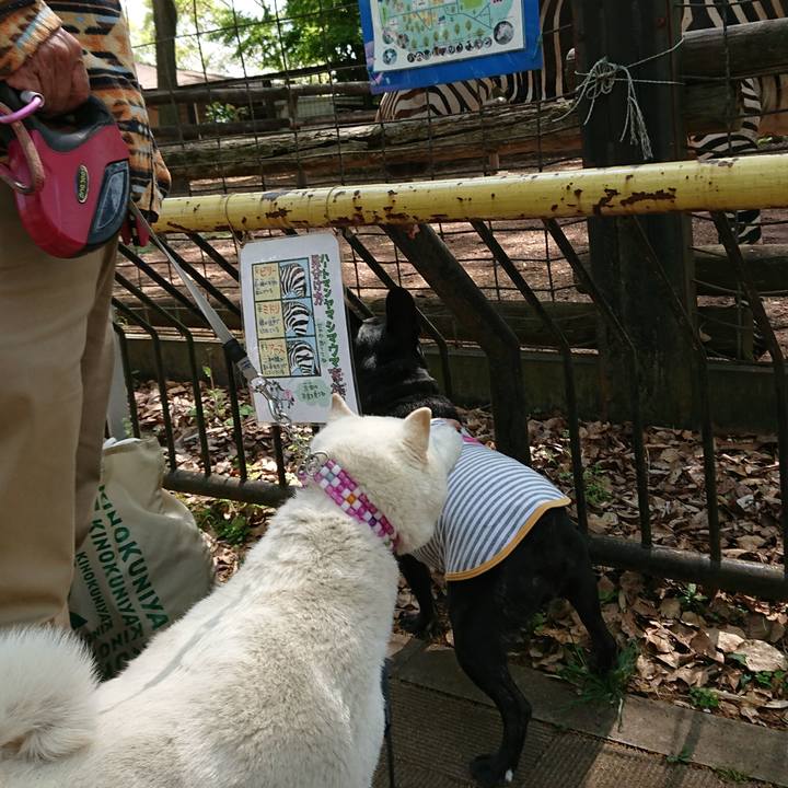 Ba85c33e eb10 4a0c 902a 72b1bedc0bd1 1617768387156