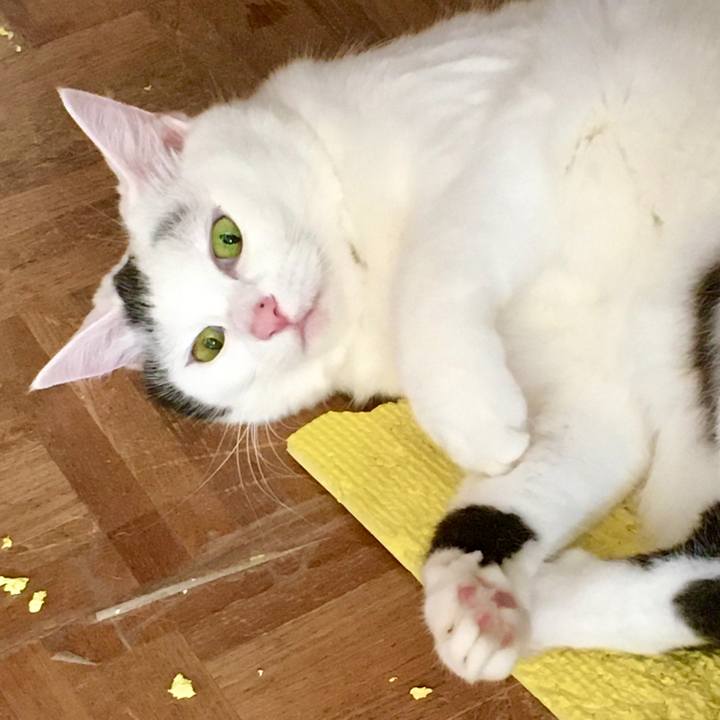 Ba85d666 e22c 4202 97aa c554daa69ef4 1571115598432