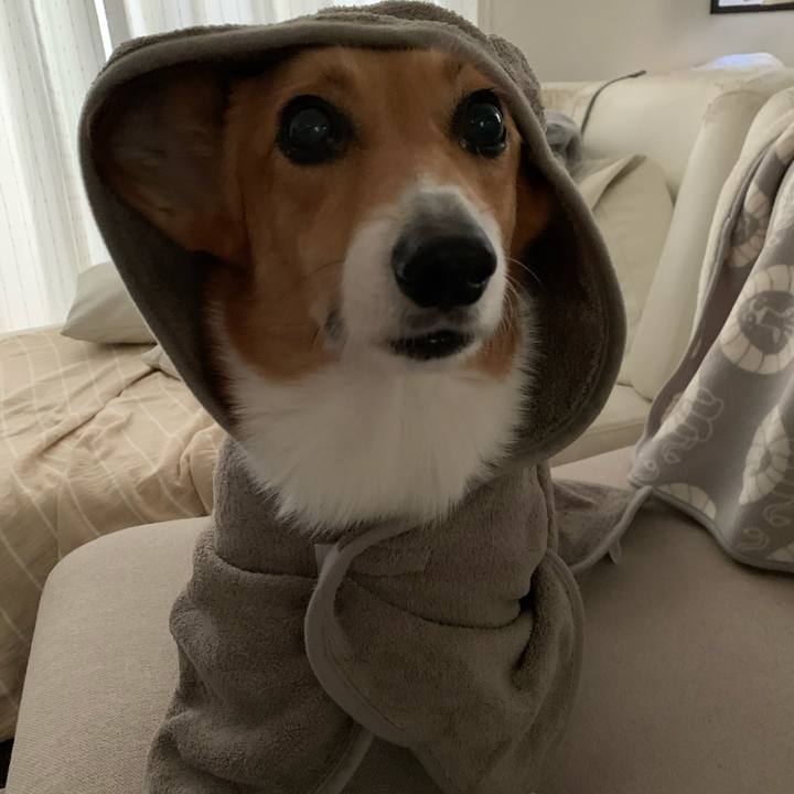 Ba864400 7451 4b31 88f4 59f0713c478e 1604444983525