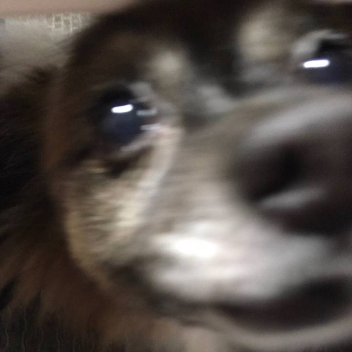 Ba864e23 1377 4846 856a d10868018471 1553455871795