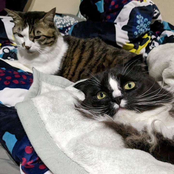 Ba86626e 45d9 4bd6 8eb8 f8289a07a998 1676111577266