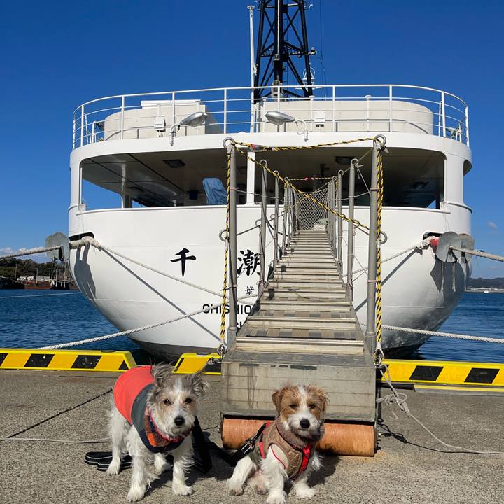 Ba86735f 16c9 4434 a870 eebfabbc442b 1767862595112