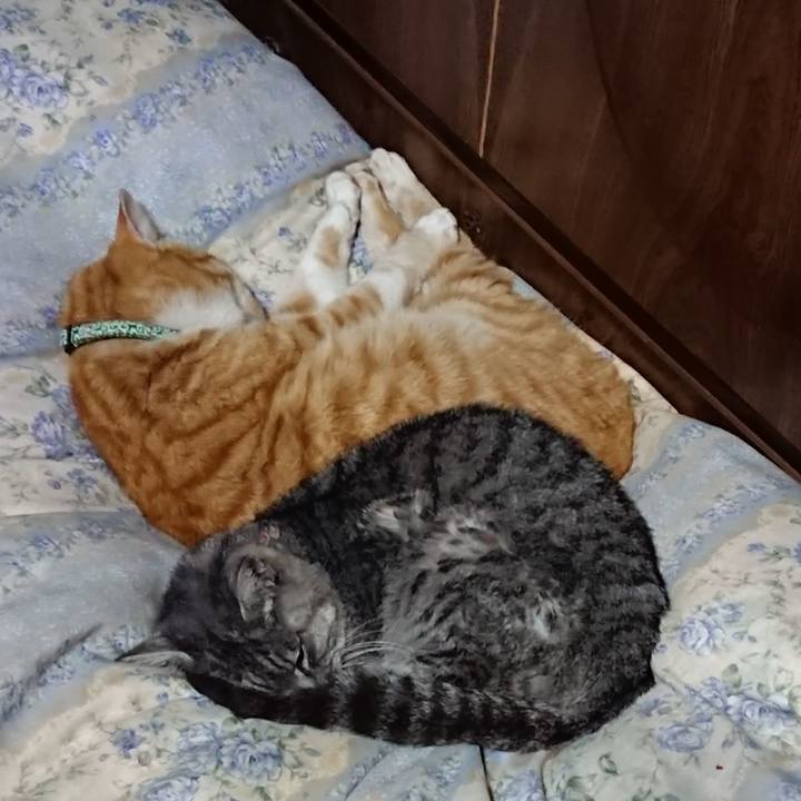 Ba8687c8 4dce 4454 838d 22328a582b63 1582114242771