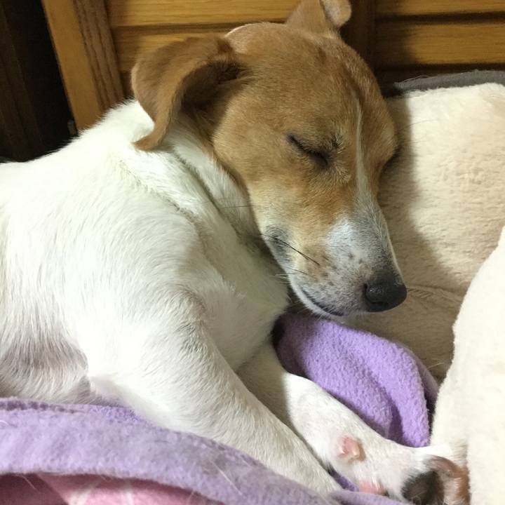 Ba86bdf8 b175 454d b852 78cc670514ba 1542803838575