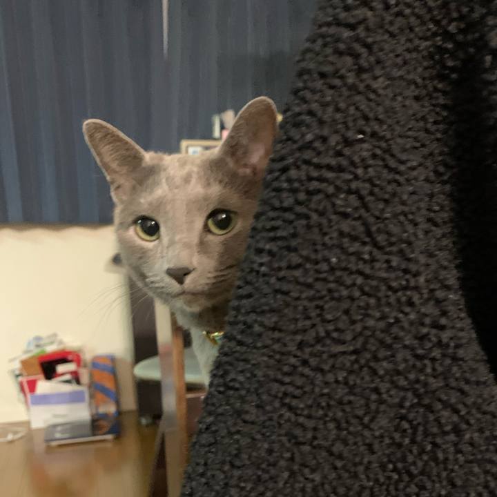 Ba86d287 05f2 44ec 9110 d0492ed21622 1641907061106