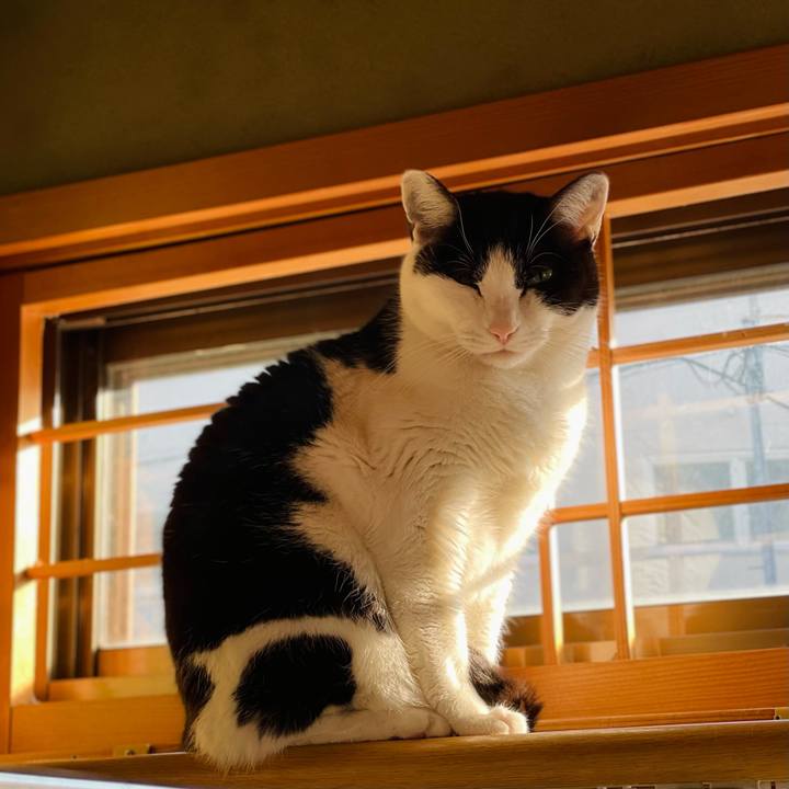 Ba86f72f 833c 4d8f 8210 61a20dd470a2 1646360717644