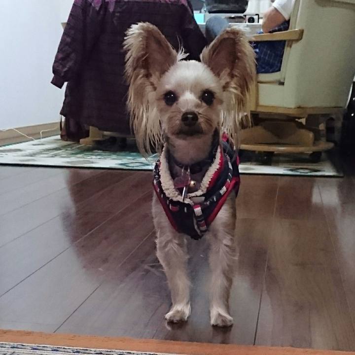 Ba870baf 3230 4b21 8010 870485a54725 1512892940440