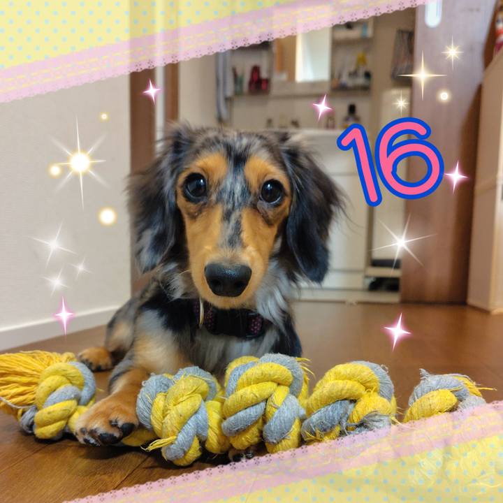 Ba872279 ee34 4634 bb5a a13ce5764b6e 1731800841076