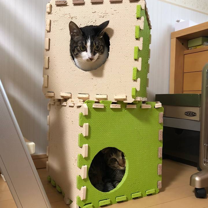 Ba87488b a96c 4705 bfae 36bfbd0f0ea5 1521214652884