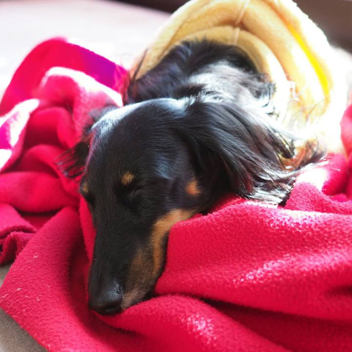 Ba87608a e55a 42f4 8435 9d7712d5d456 1573788910762