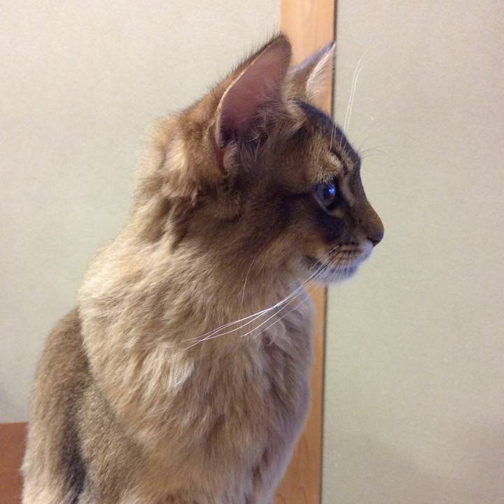 Ba87b42b e341 4084 ad9d 6d21acd12096 1580026158254