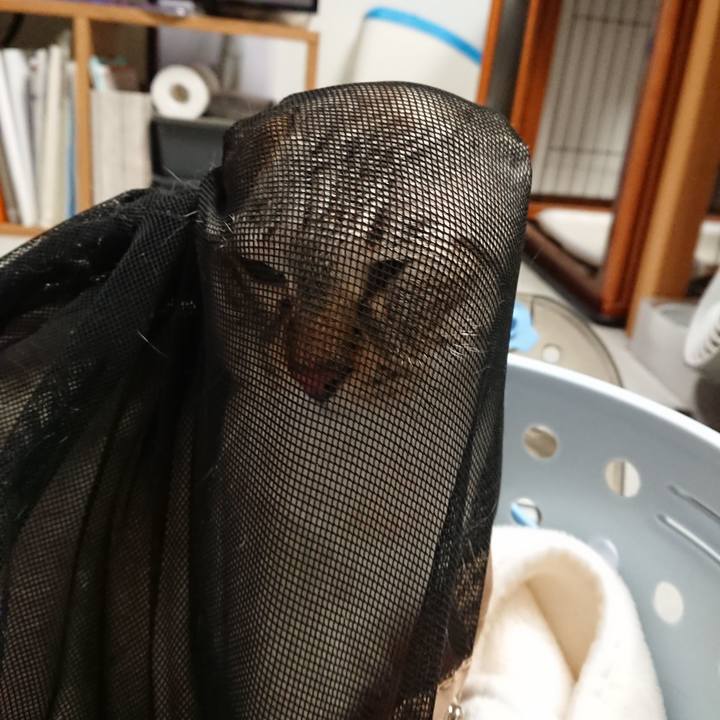 Ba87f494 a6f6 4b64 ac4e 4cbe17073b0c 1566641821283