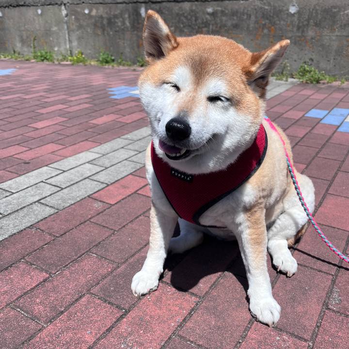 Ba880f0a 3f2d 4365 b209 c35b4068a1e0 1713493089490