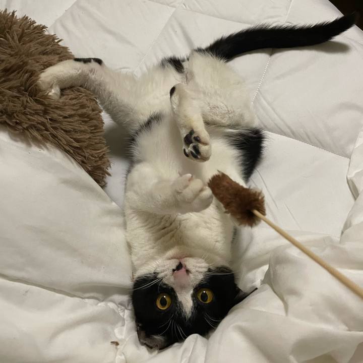 Ba8816e6 7e2c 48b6 9fdc a40bfc152e5a 1678289051576