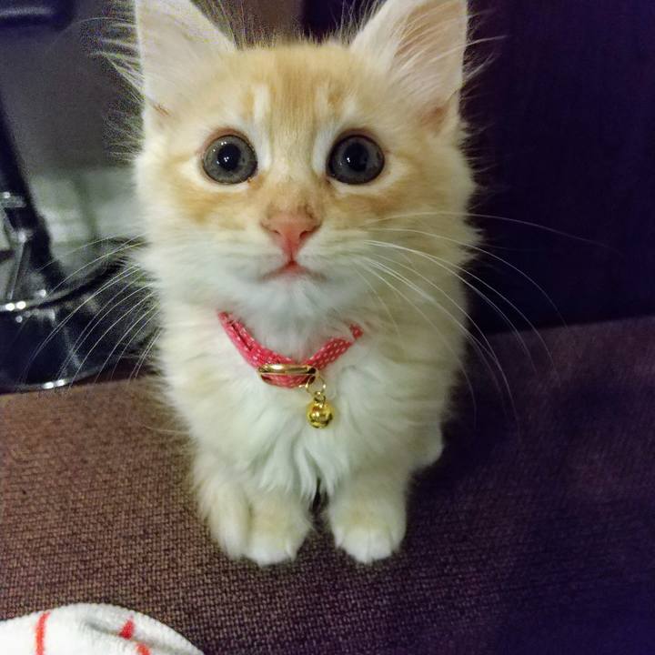 Ba88413b b14a 4abe 9fb7 ad850b002666 1603446161857