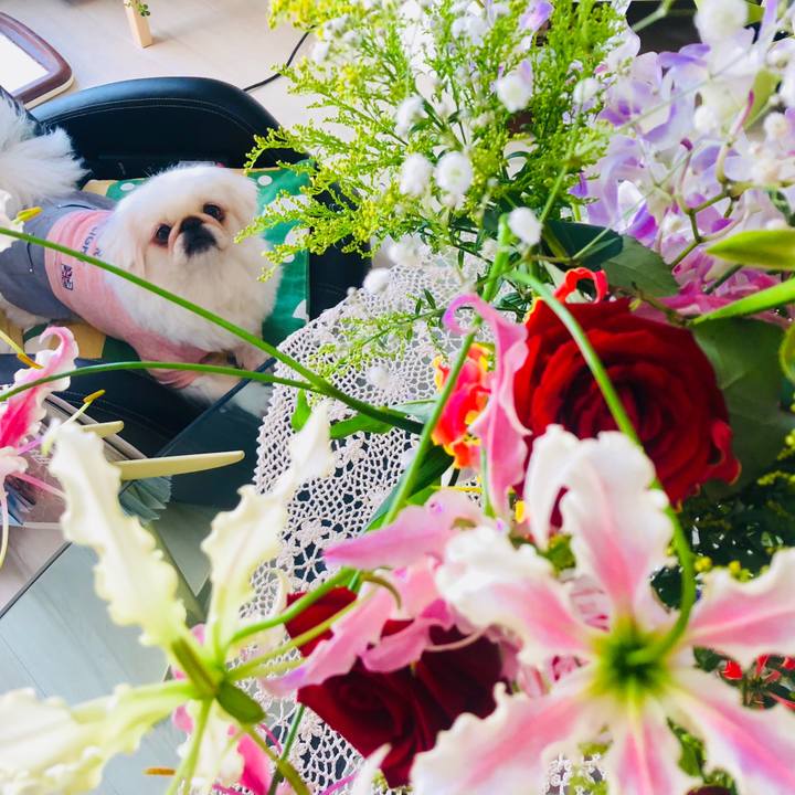 Ba8847d9 d1f6 47f3 aa3a 15a9657f2384 1571801638307