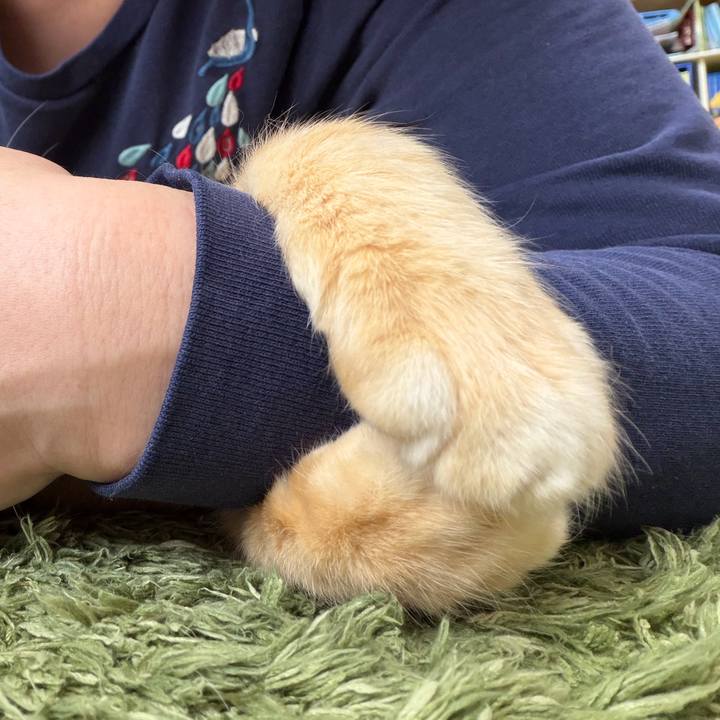 Ba88ae45 b2c9 454f bbea 8ae1a9ac4a56 1772066625596