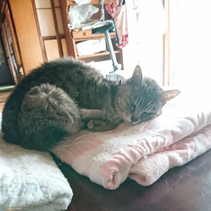 Ba88b74a 4137 4713 ac70 8a1ce7427255 1592005757563